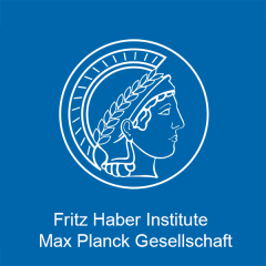 Director  Fritz Haber Institute of the Max Planck Society